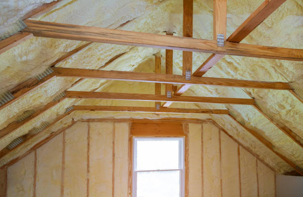 Best Crawl Space Insulation  in Jim Thorpe, PA