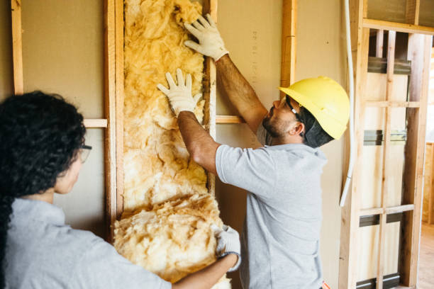 Best Cellulose Insulation  in Jim Thorpe, PA
