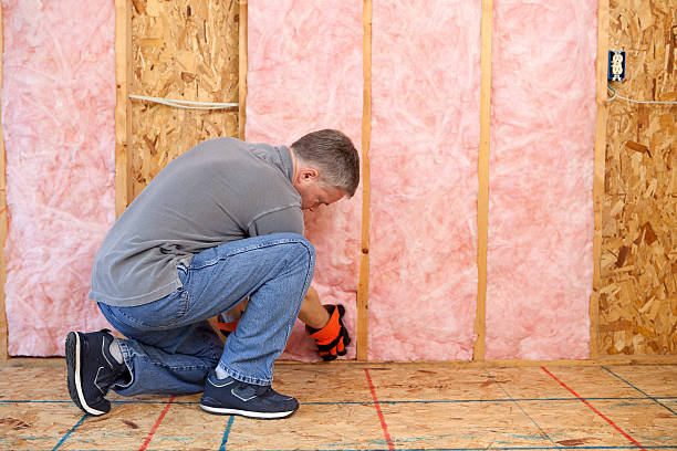 Insulation Replacement Services in Jim Thorpe, PA