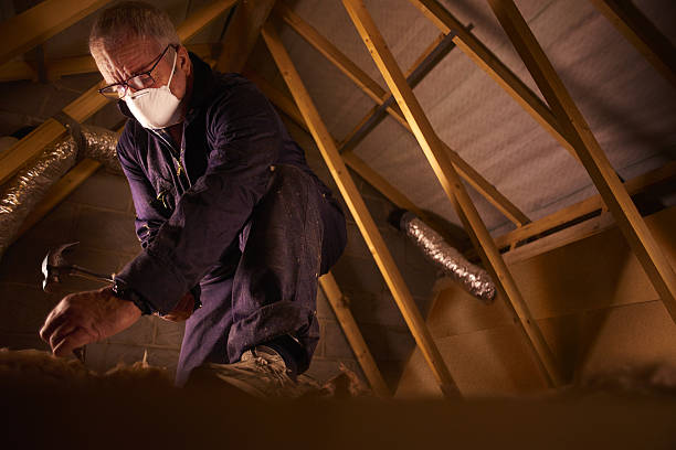 Best Insulation Removal  in Jim Thorpe, PA